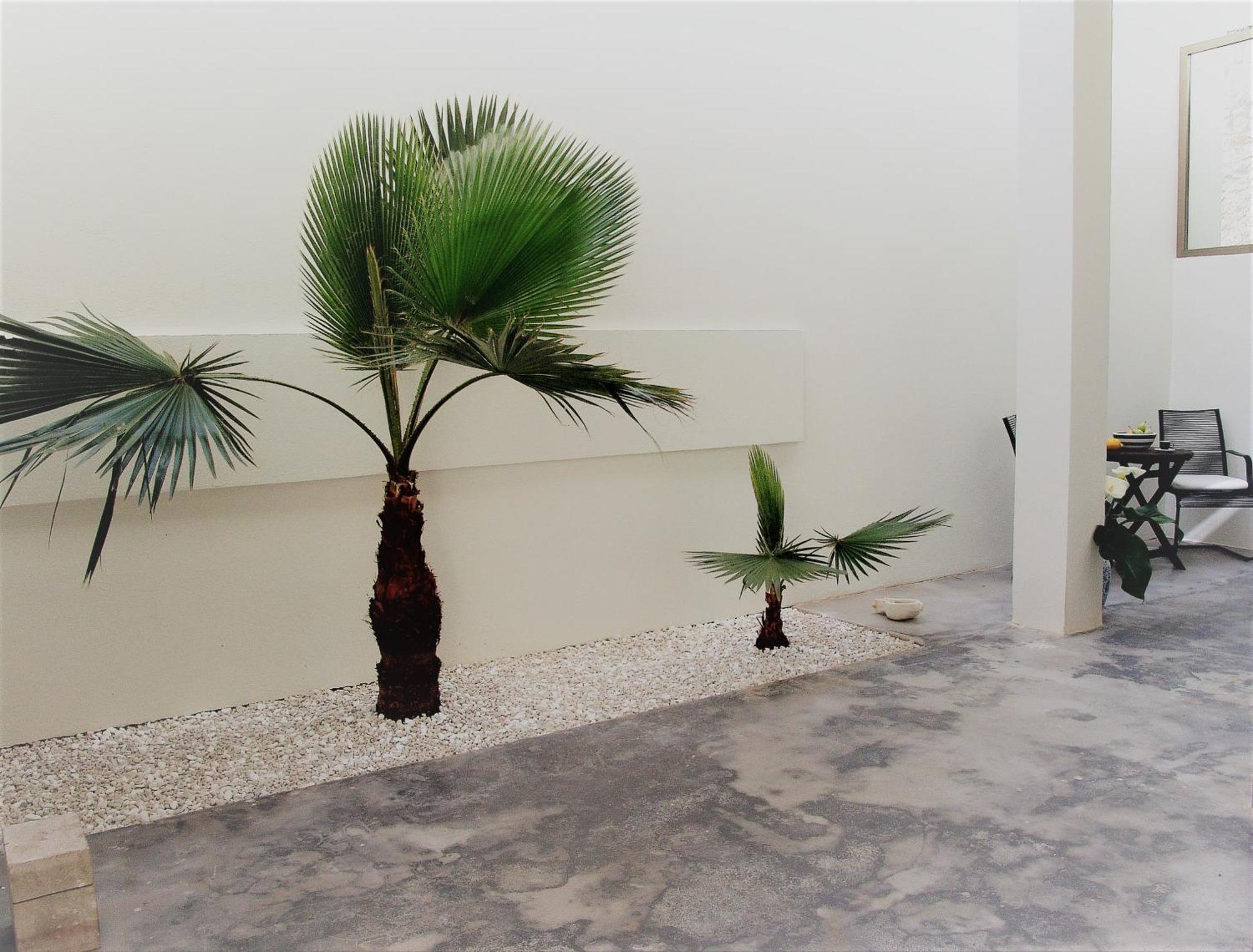Square 45 Villa Chania  Luaran gambar